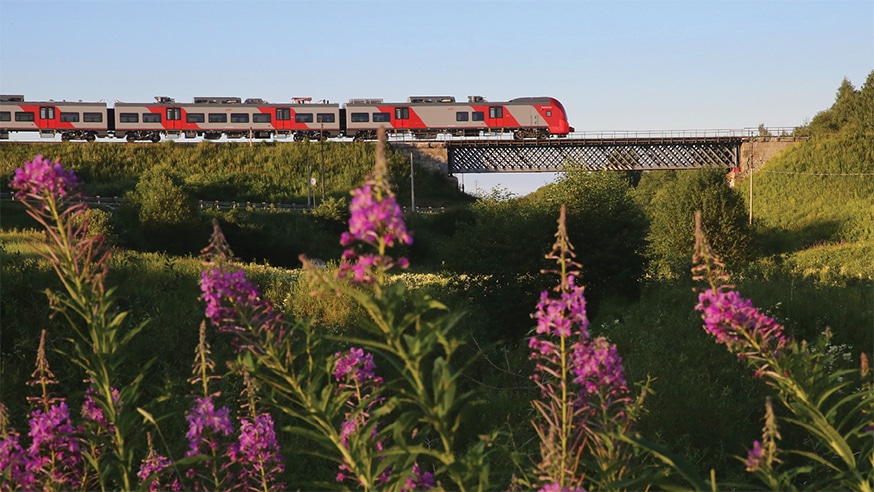 Современный подвижной состав